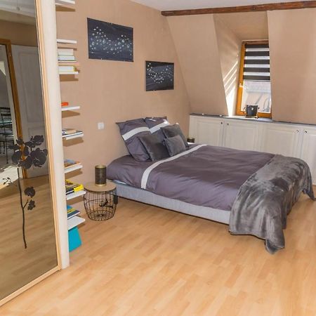 Charmant Appartement Alsacien リボーヴィレ エクステリア 写真