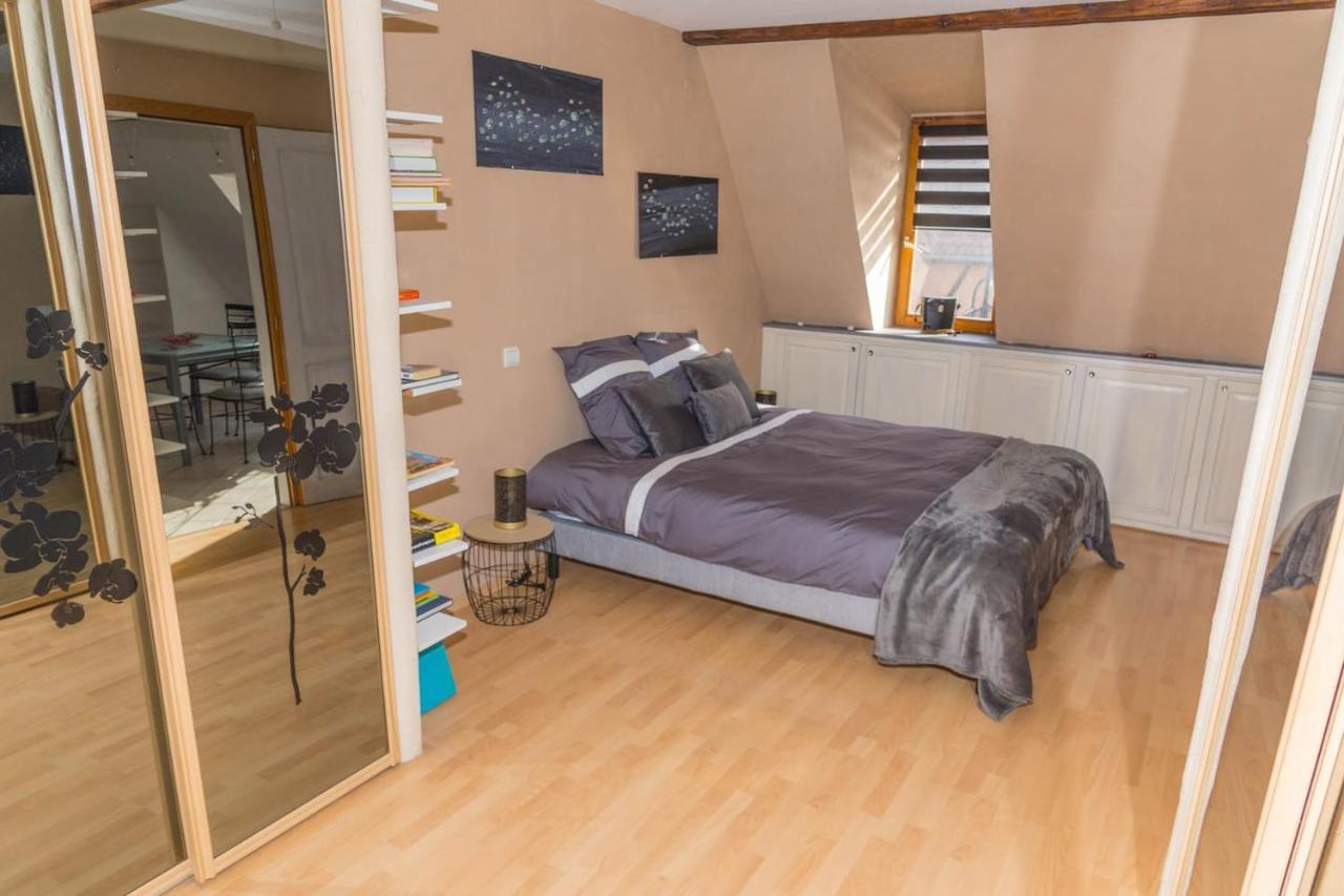 Charmant Appartement Alsacien リボーヴィレ エクステリア 写真